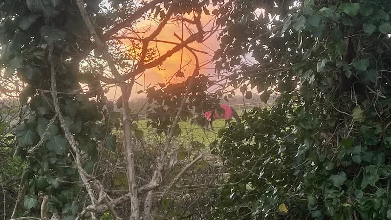 View of Horton Country Park in Epsom, London