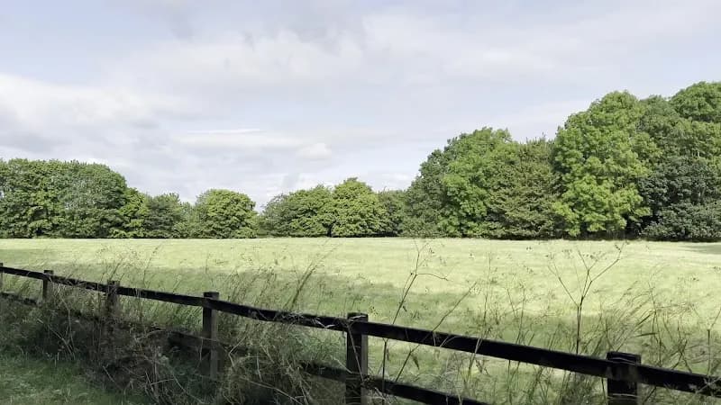 View of Horton Country Park in Epsom, London