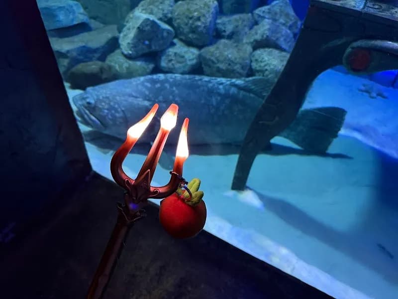 View of Hotel Aquarium - Atlantis, The Palm in Palm Jumeirah, Dubai