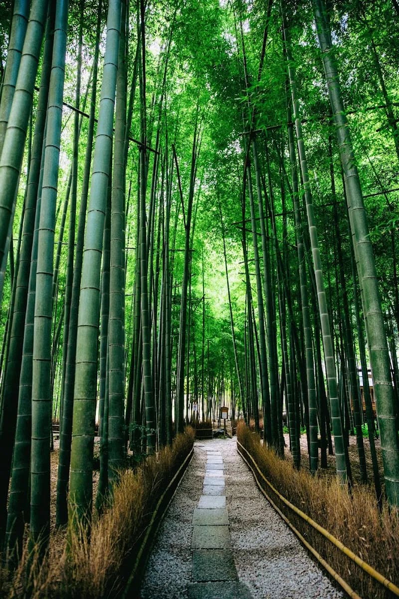 Houkokuji buddhist temple in Kamakura, Kanagawa