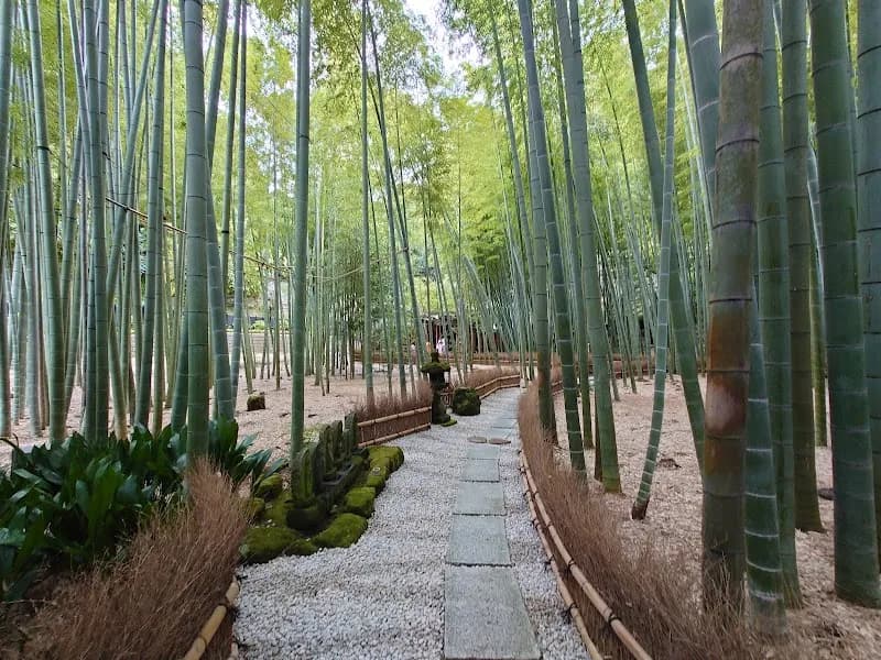 View of Houkokuji in Kamakura, Kanagawa