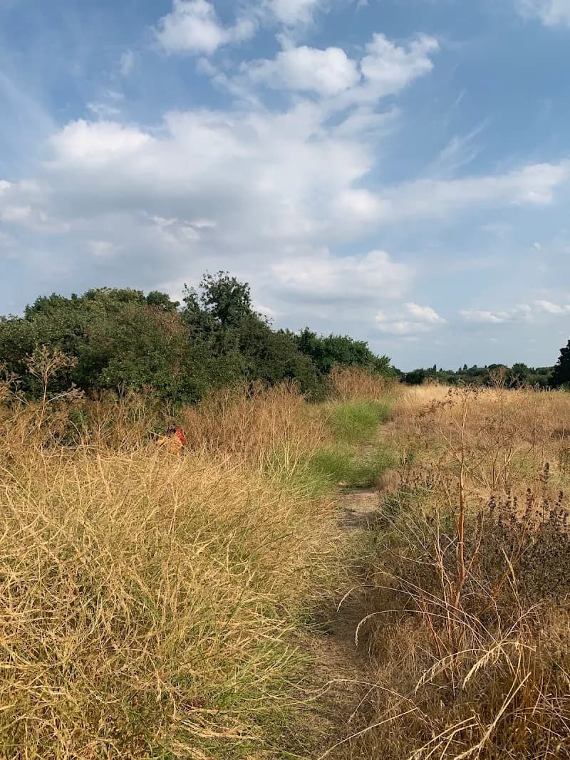 Hounslow Heath (Hounslow) park in Hounslow, London