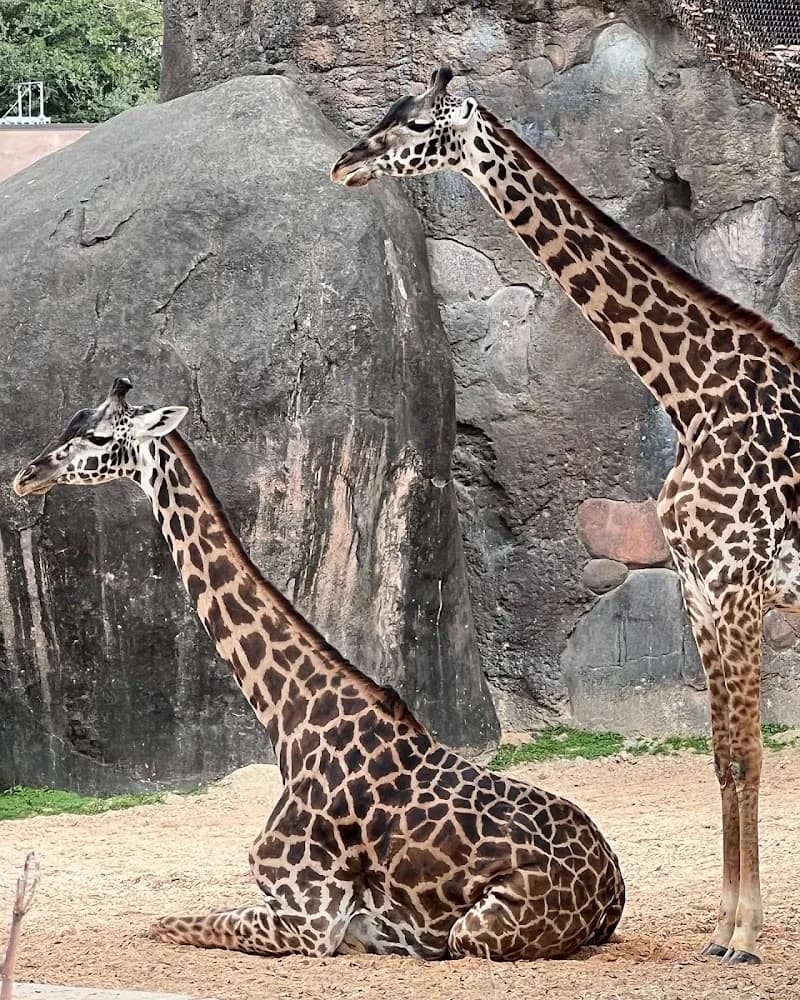 View of Houston Zoo in Houston, TX