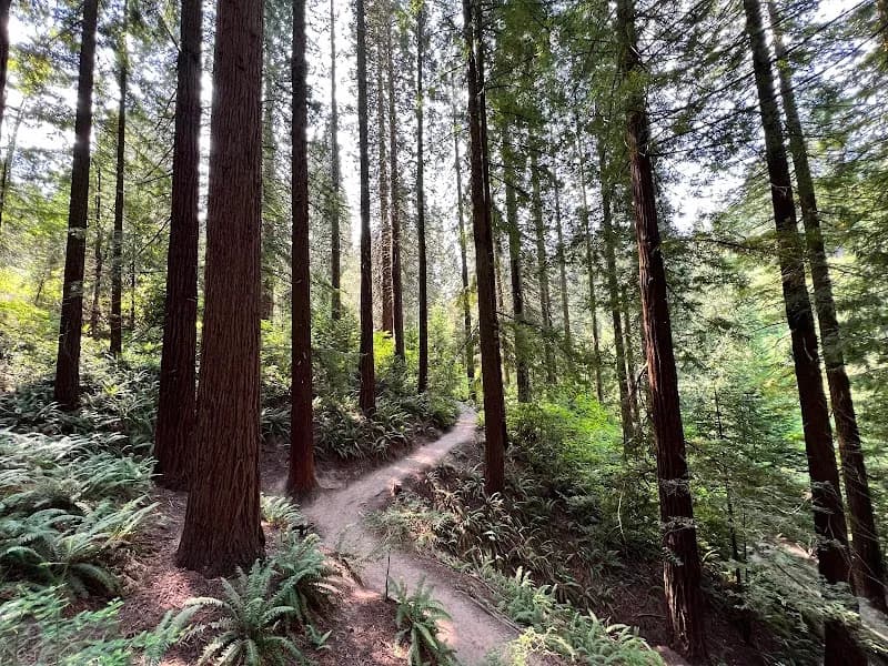 Hoyt Arboretum botanical garden in Portland, OR