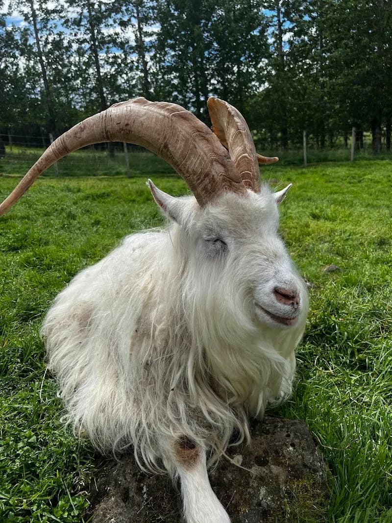 View of Hradastadir Horse Riding & Farm in Seltjarnarnes, CR