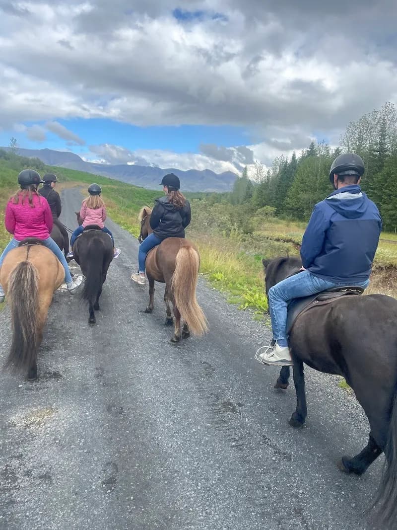 View of Hradastadir Horse Riding & Farm in Seltjarnarnes, CR