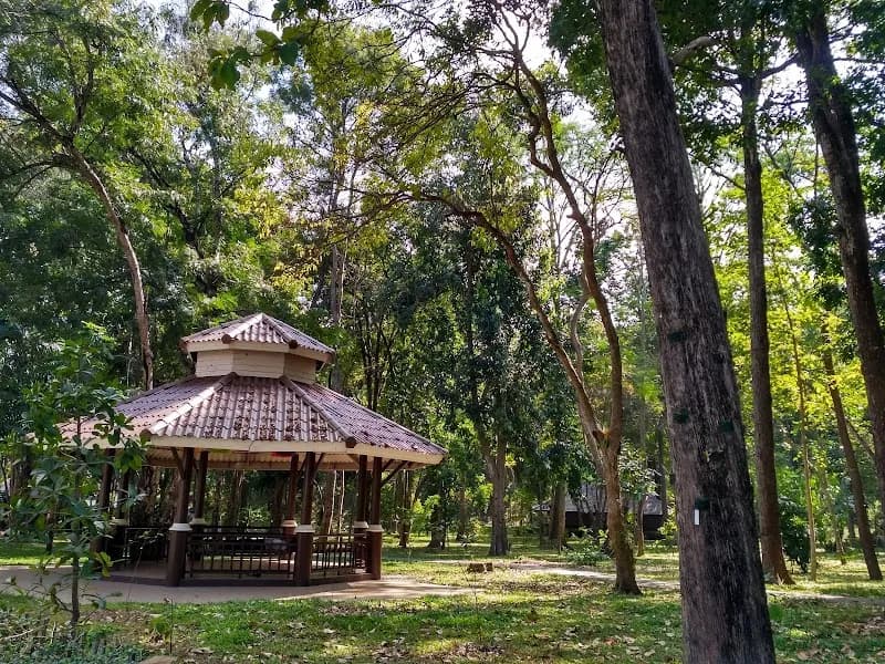 Huai Kaeo Arboretum botanical garden in Suthep, CM