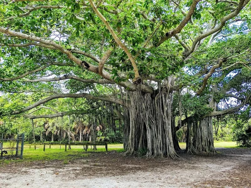 Hugh Taylor Birch State Park state park in Fort Lauderdale, FL