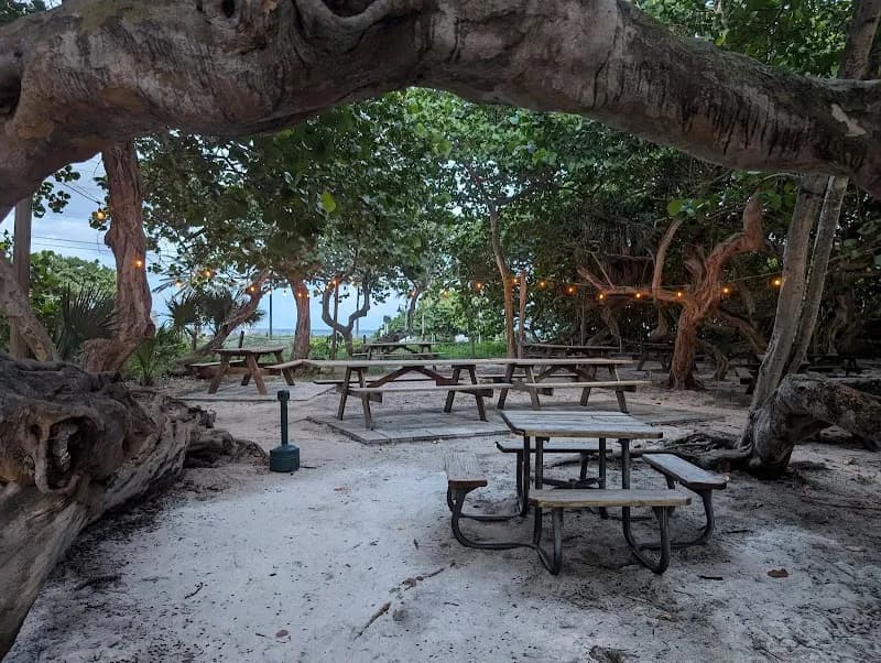 View of Hugh Taylor Birch State Park in Fort Lauderdale, FL