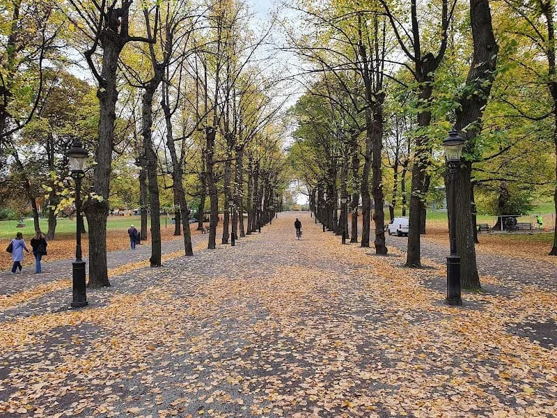 View of Humlegårdens Playground in Tyresö, Stockholm