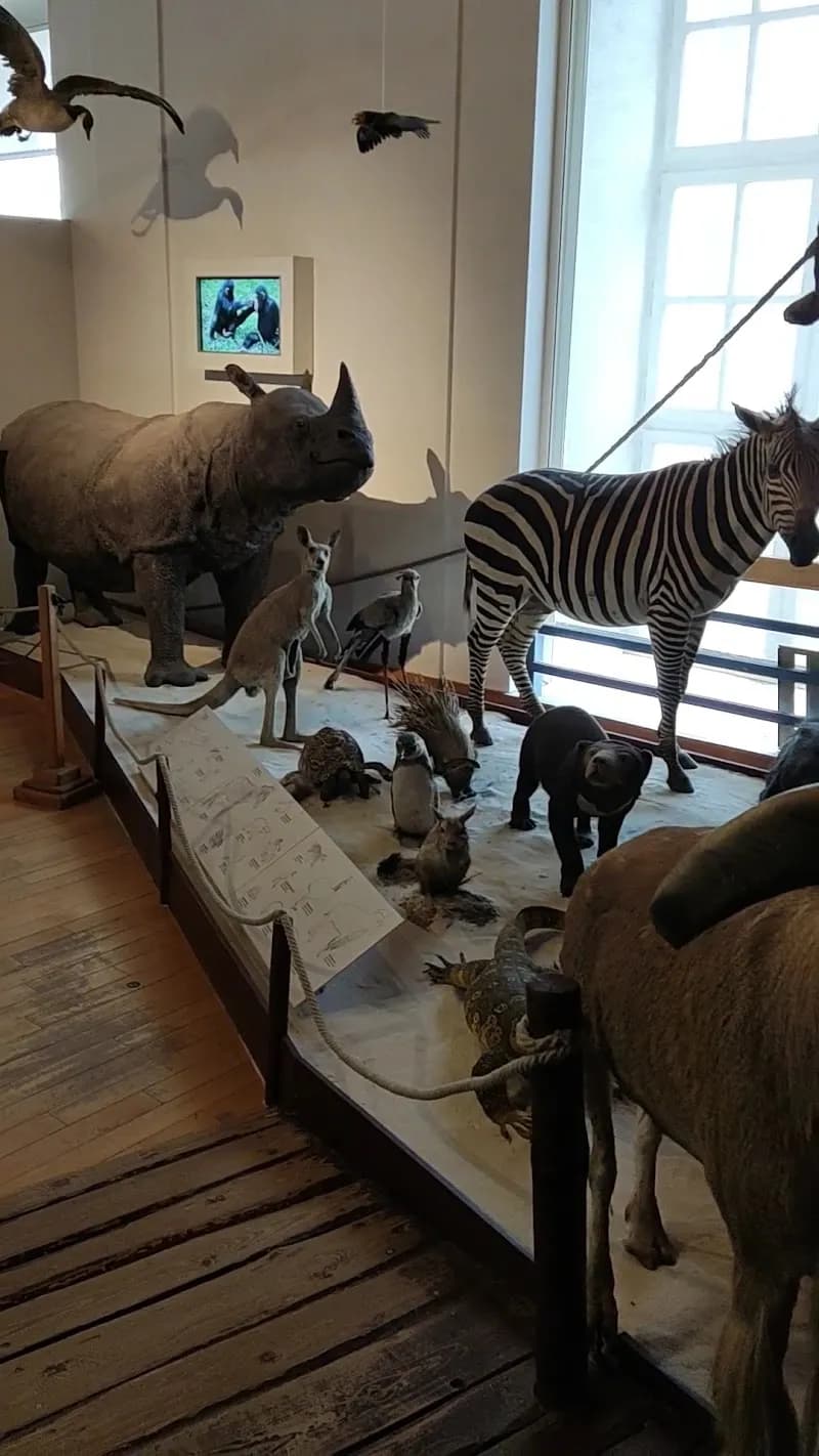 View of Hungarian Natural History Museum in Budapest, BUD