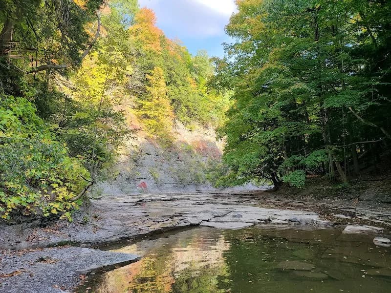View of Hunters Creek County Park in Orchard Park, NY