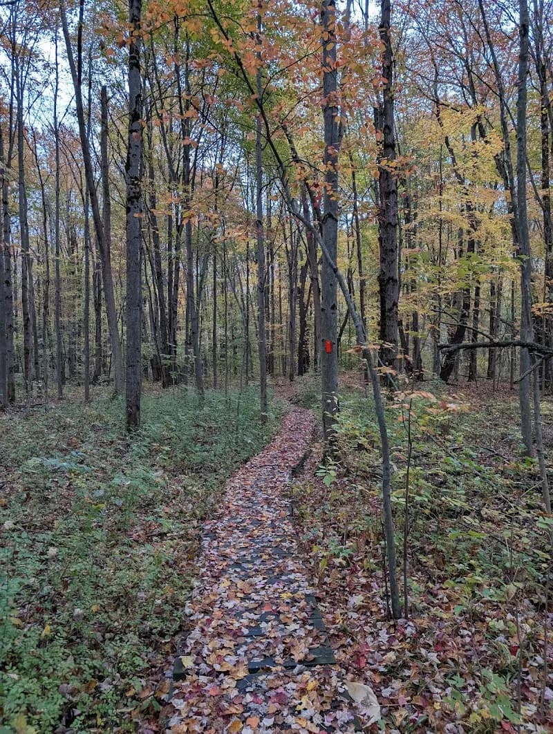 View of Hunters Creek County Park in Orchard Park, NY