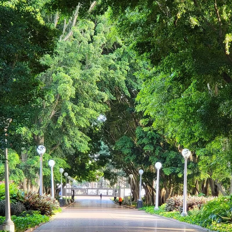 View of Hyde Park in Sydney, NSW