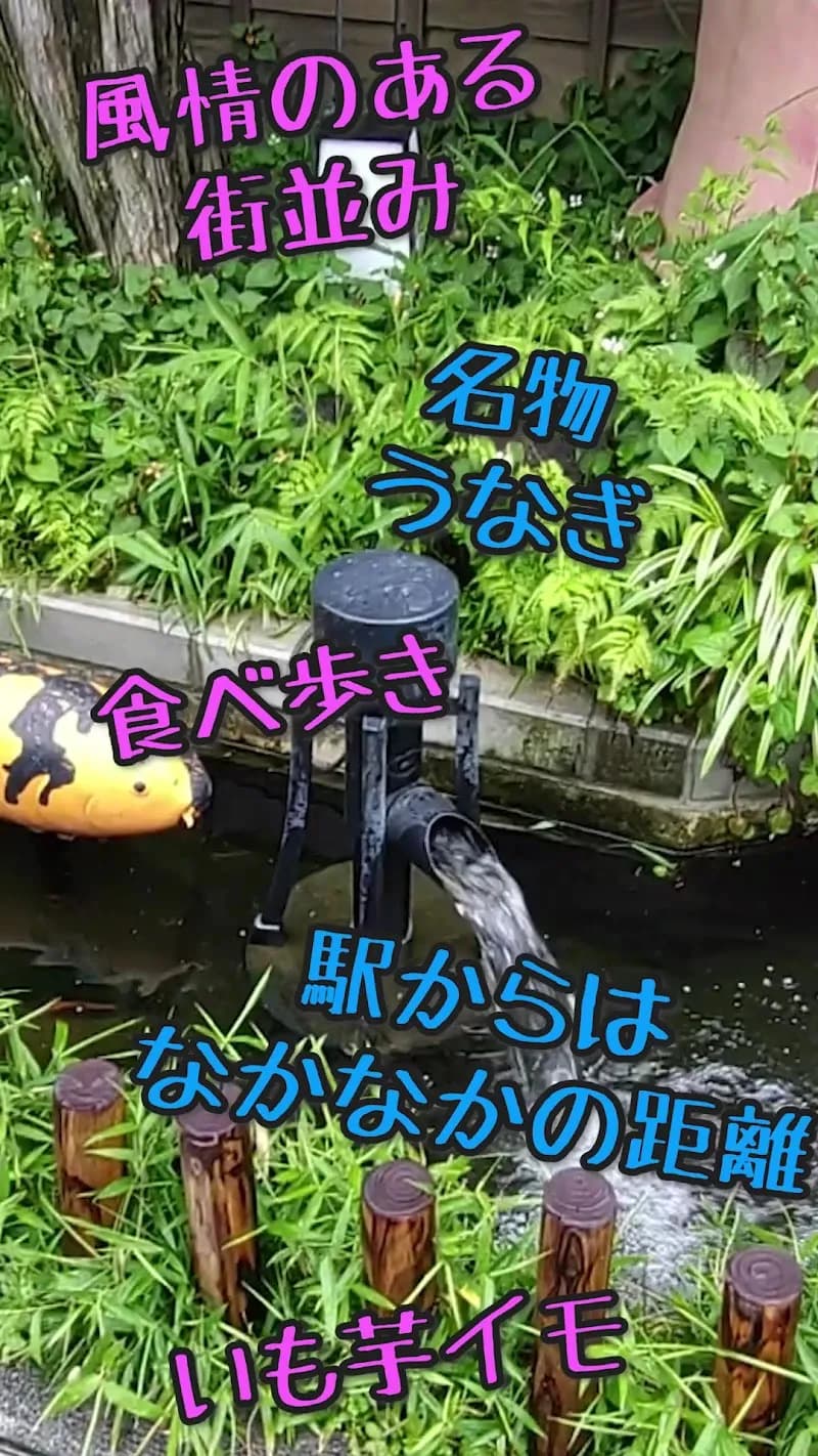 View of Ichibangai Shotengai in Kawagoe, Saitama