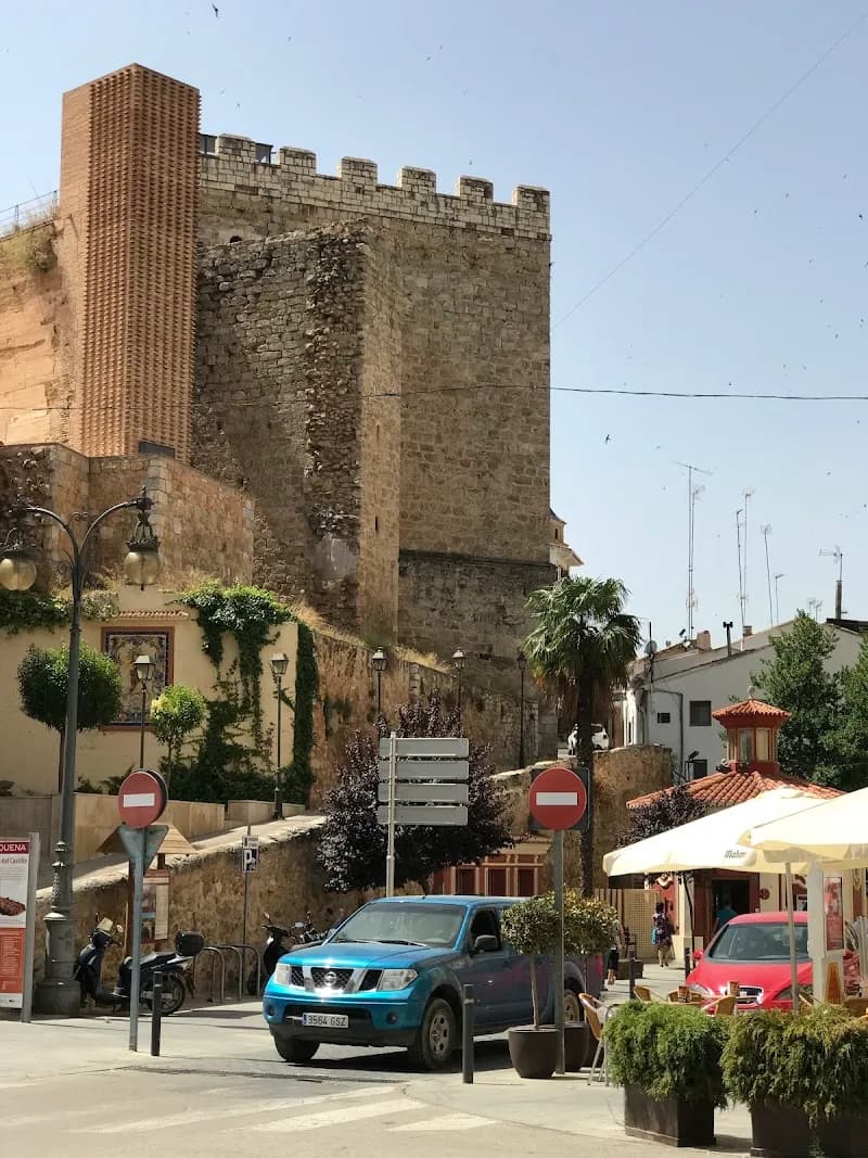 View of Iglesia de Nuestra Señora del Carmen in Requena, V