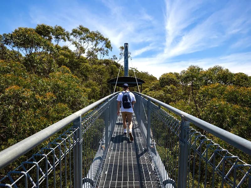 Illawarra Fly Treetop Adventures tourist attraction in Wollongong, NSW