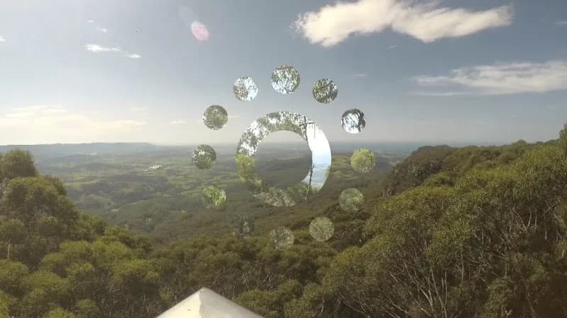 View of Illawarra Fly Treetop Adventures in Wollongong, NSW