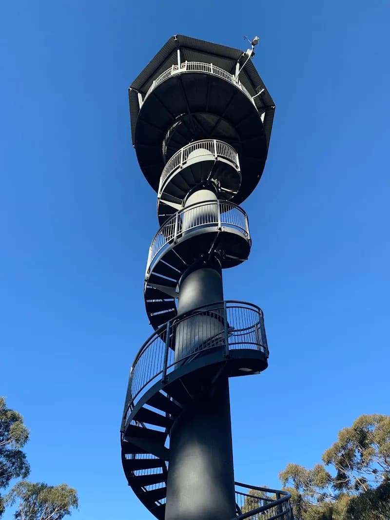 View of Illawarra Fly Treetop Adventures in Wollongong, NSW