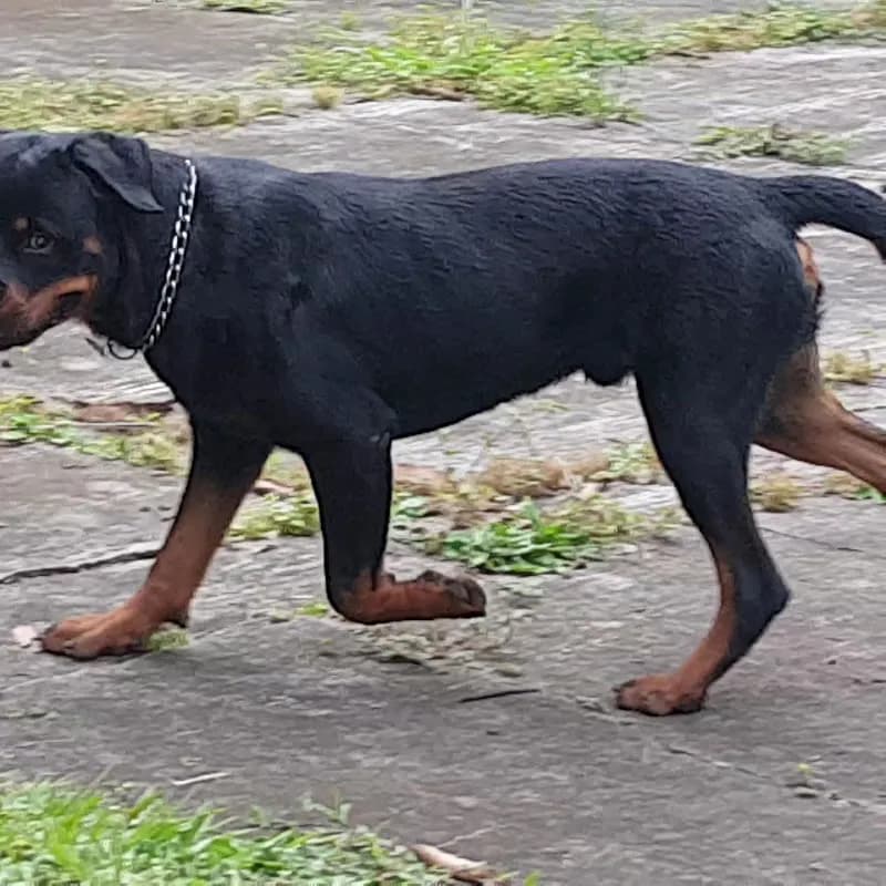 View of INBio Park in Heredia, HD