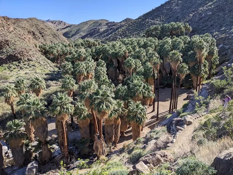 Indian Canyons nature preserve in Palm Springs, CA
