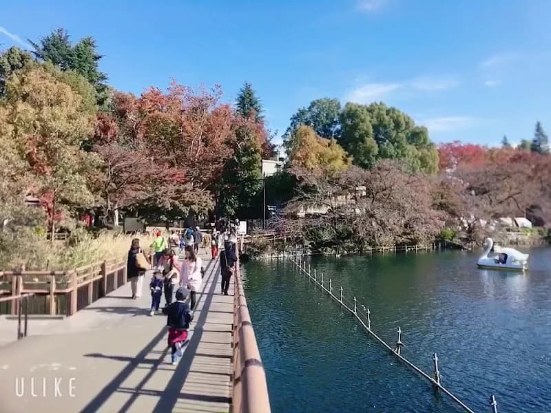 View of Inokashira Park in Musashino, Tokyo