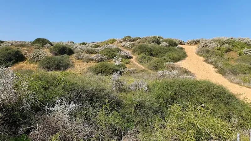 View of Iris Reserve in Netanya, TA