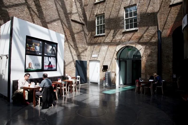 View of Irish Film Institute in Dublin, DUB