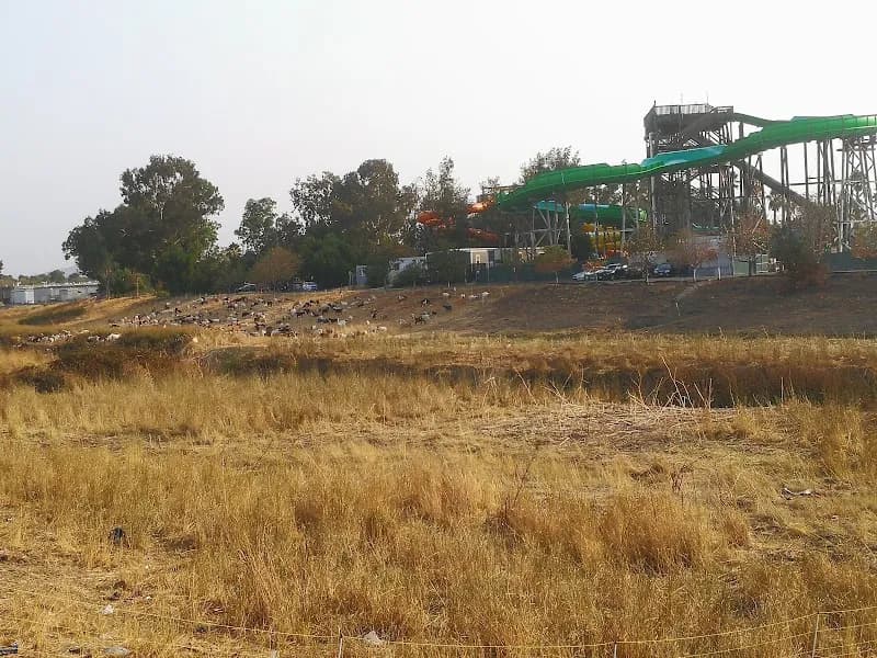 Iron Horse Regional Trail route in San Ramon, CA