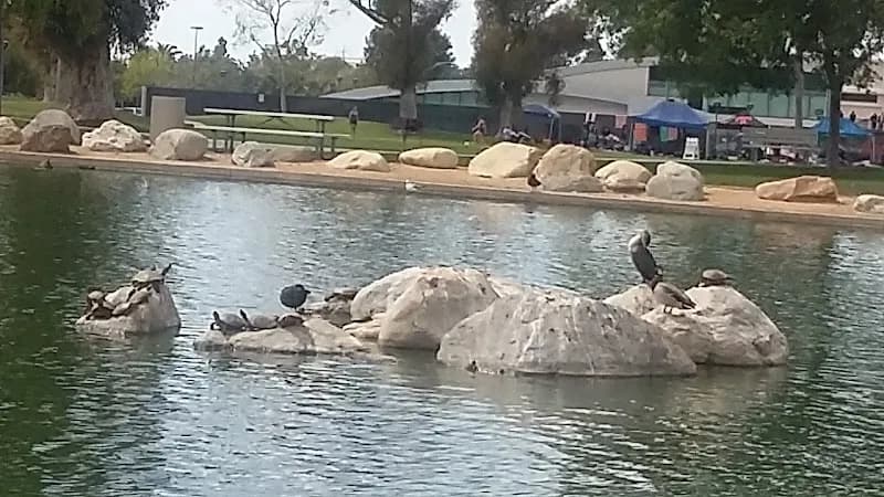 View of Irvine Fine Arts Center in Irvine, CA