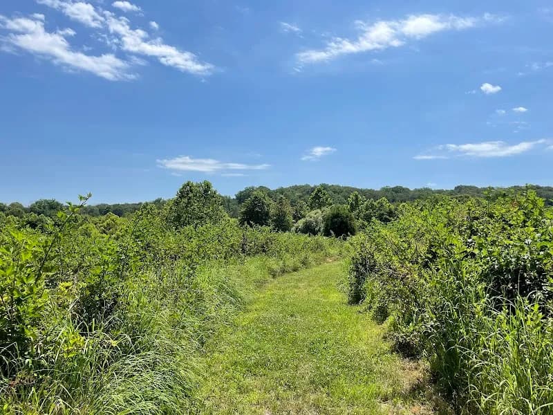 View of Irvine Nature Center in Baltimore, MD
