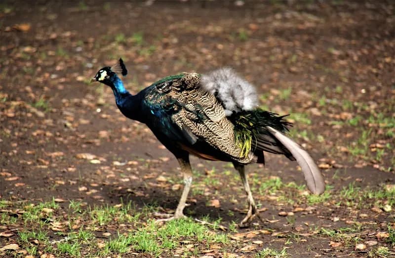 View of Irvine Regional Park in Irvine, CA