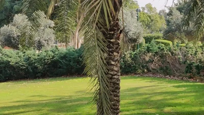 View of Isaac Wald Park - Kfar Saba Park in Kfar Saba, TA