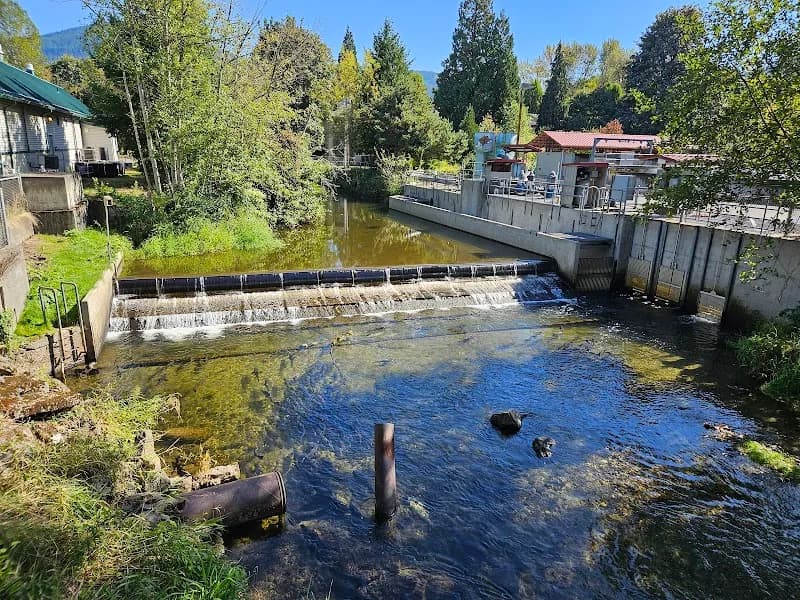 Issaquah State Salmon Hatchery ranch in Issaquah, WA