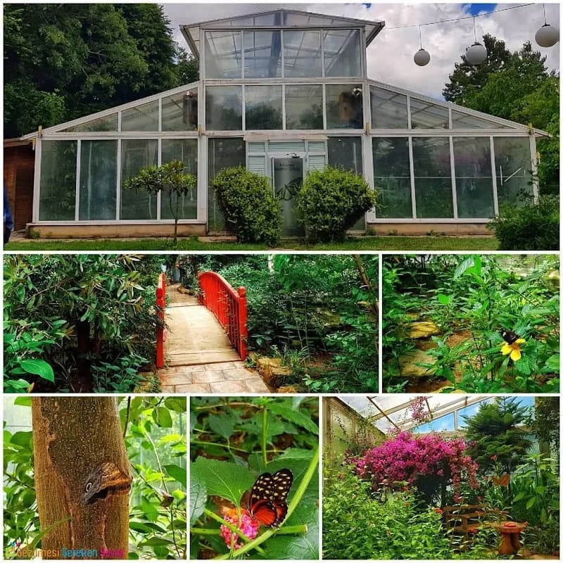 Istanbul Butterfly Farm nature preserve in Istanbul, IST