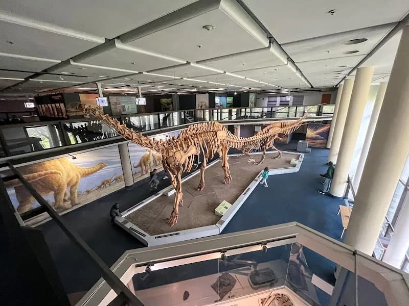 Iziko South African Museum museum in Cape Town, WC