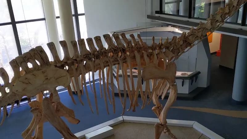 View of Iziko South African Museum in Cape Town, WC