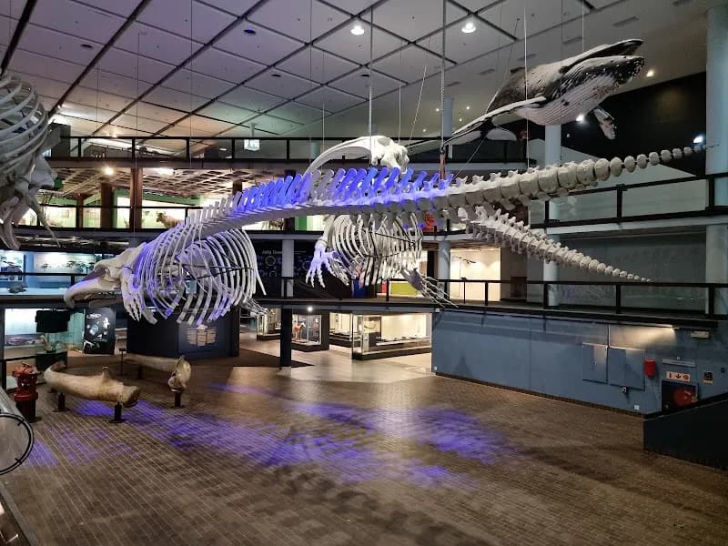 View of Iziko South African Museum in Cape Town, WC