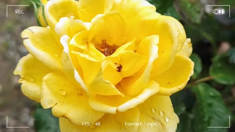 View of Izumi Family Recreation Center in Izumi, Osaka