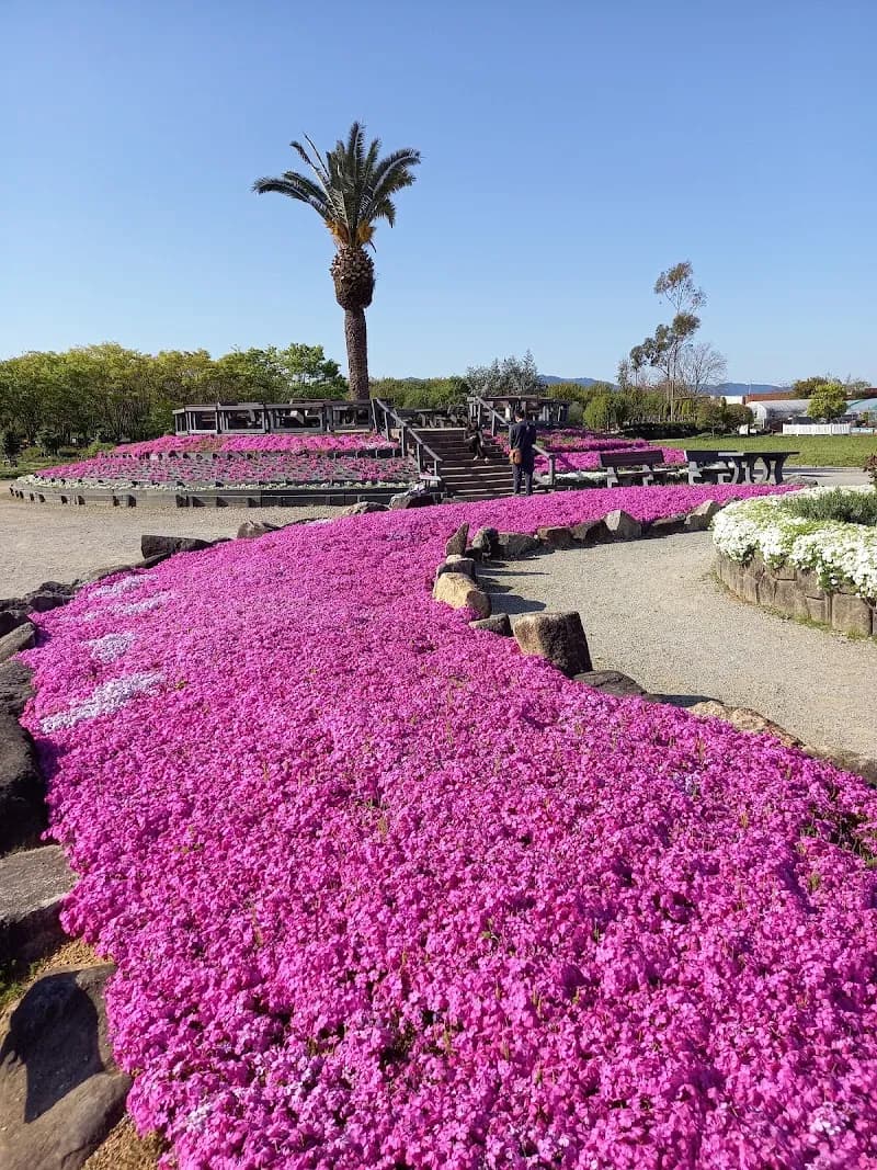 View of Izumi Family Recreation Center in Izumi, Osaka
