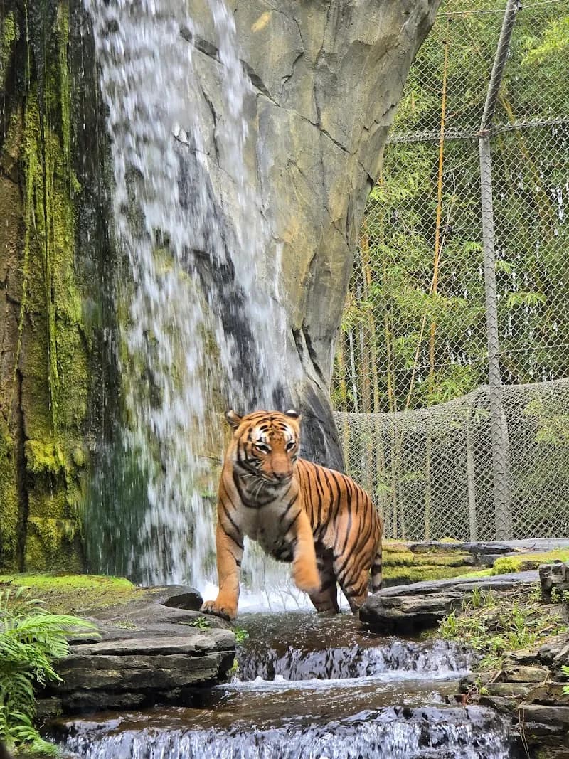 View of Jacksonville Zoo and Botanical Gardens in Jacksonville, FL