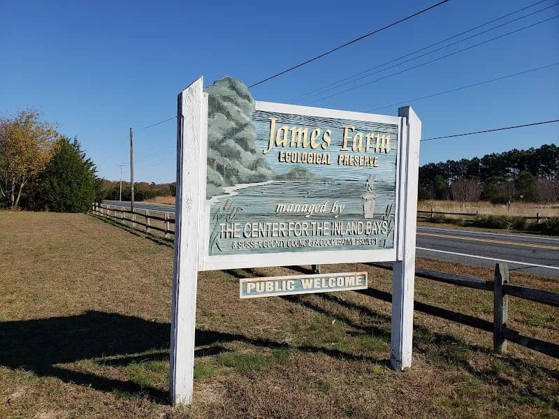 View of James Farm Ecological Preserve in Rehoboth Beach, DE