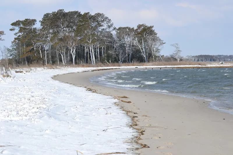 View of James Farm Ecological Preserve in Rehoboth Beach, DE