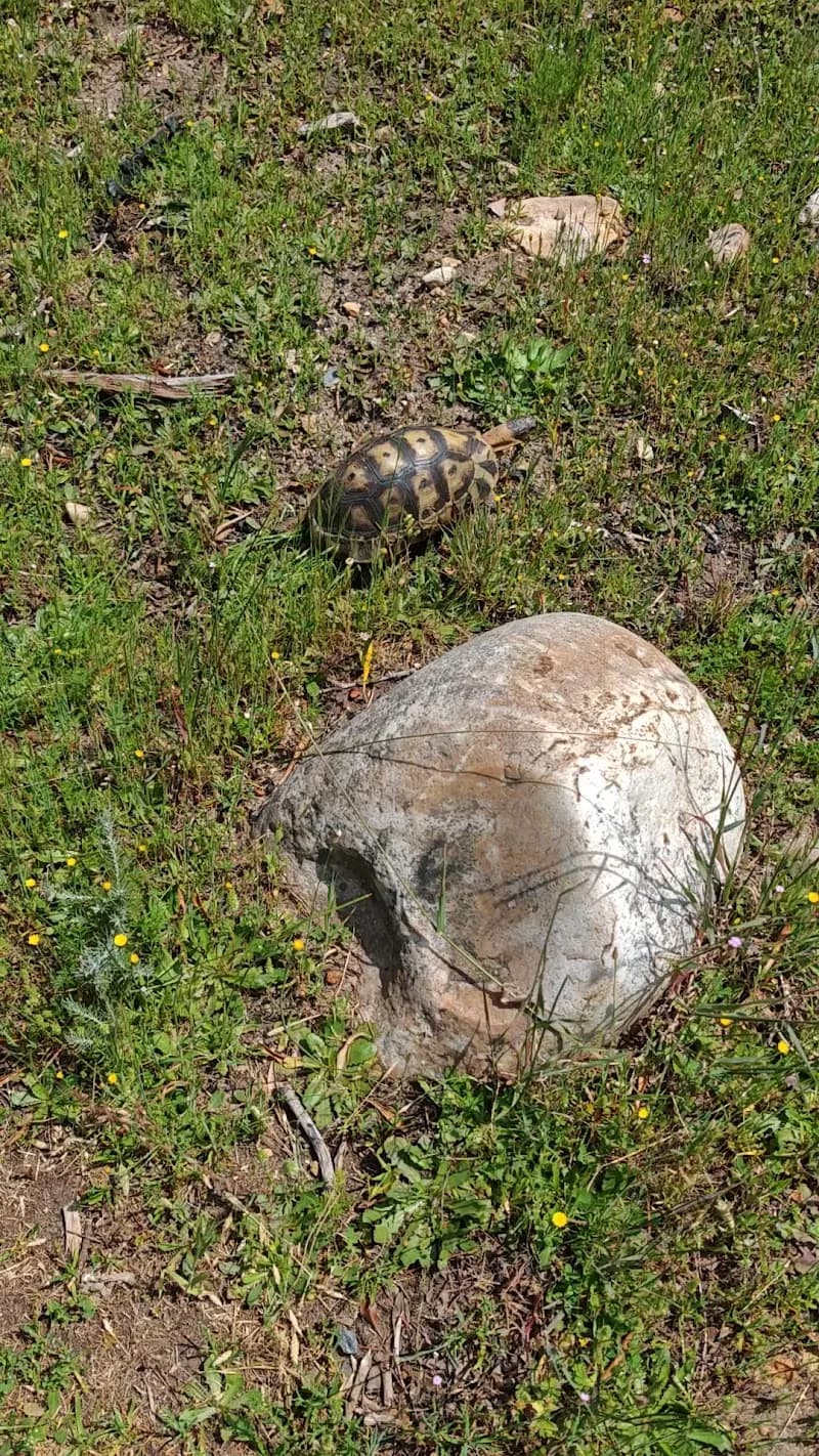 View of Jan Marais Park in Stellenbosch, WC