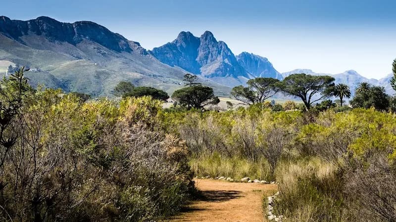 View of Jan Marais Park in Stellenbosch, WC