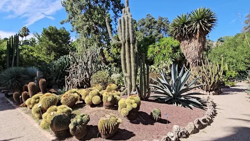 View of Jardín Botánico in Valencia, VC