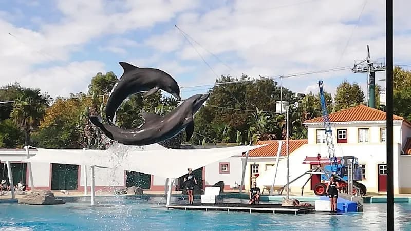 View of Jardim Zoológico in Lisbon, LSB