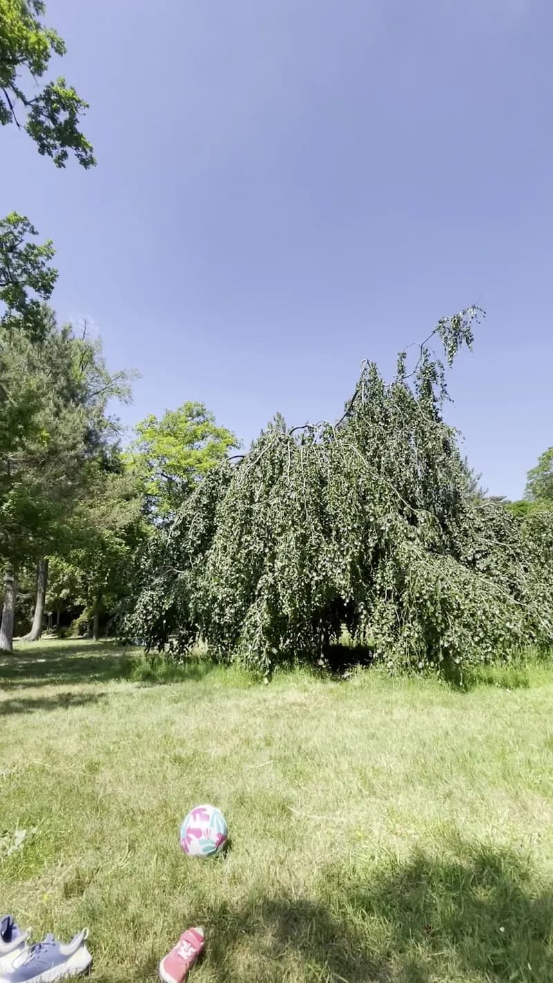 View of Jardin de Catelle in Boulogne-Billancourt, IDF