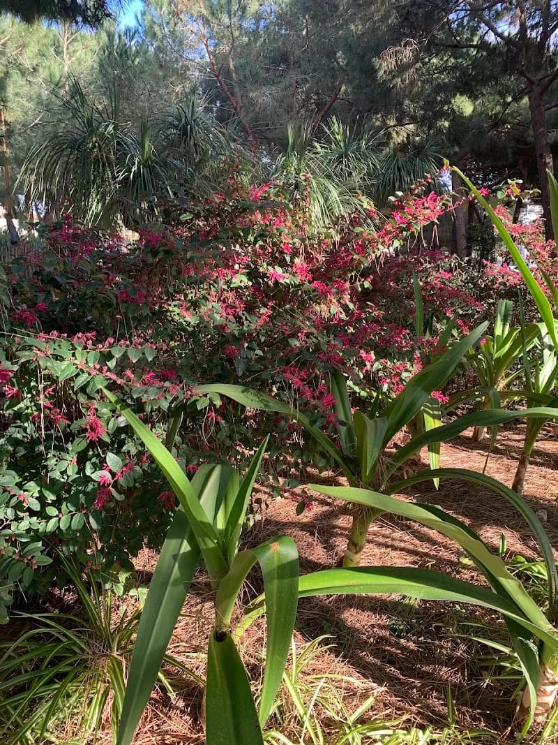 View of Jardin de la Pinède in Juan-les-Pins, PACA