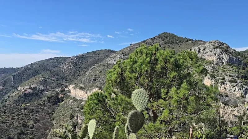 View of Jardin Exotique d’Èze in Saint-Jean-Cap-Ferrat, PACA